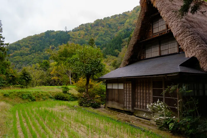 DSCF2466