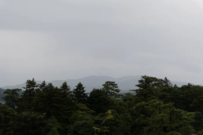DSCF2782